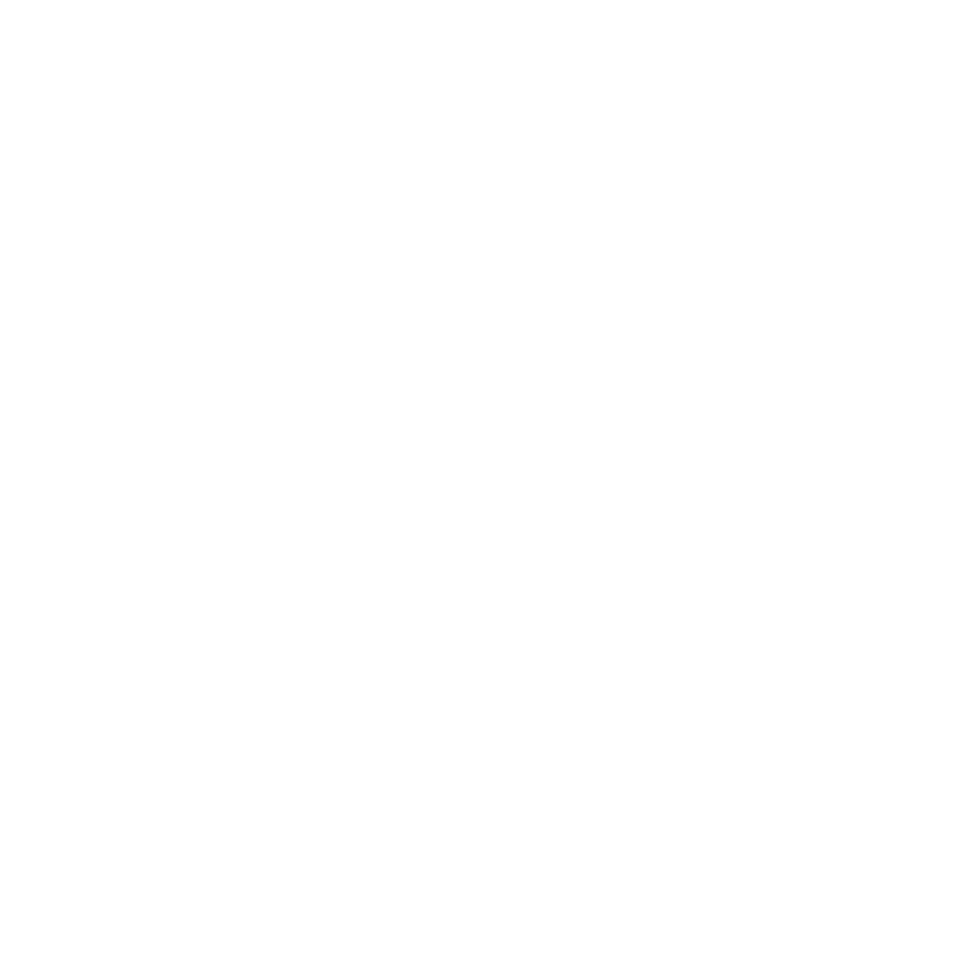 EIR logo EIR logo